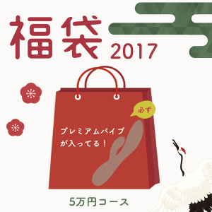 2017福袋　5万円コース｜女性だけで運営のアダルトグッズ通販 LOVE PIECE CLUB (50127)